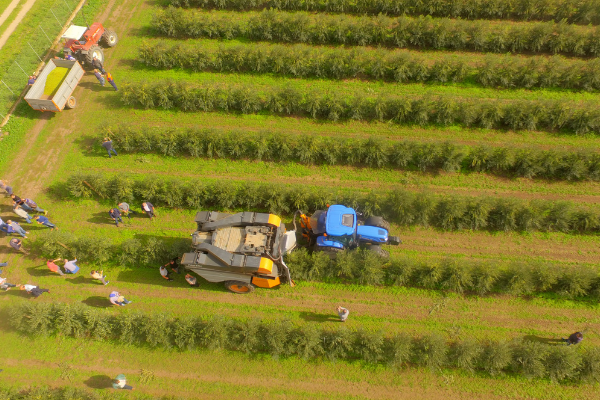 Buccelletti a EnoliExpo 2022 – 10/12 Marzo, Bari