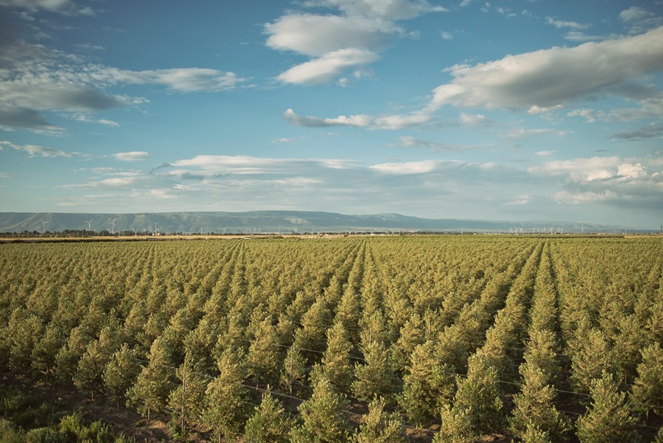 Livita Plus: la testimonianza di Fratelli Fratta, tra le prime aziende a darci fiducia